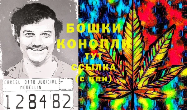 шишки Алексин
