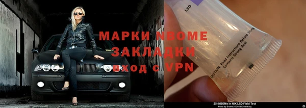 шишки Алексин