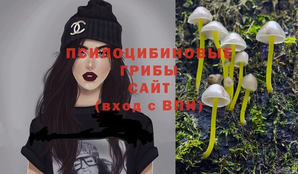 шишки Алексин