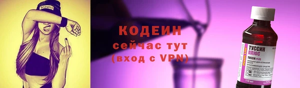прущий лед Алзамай