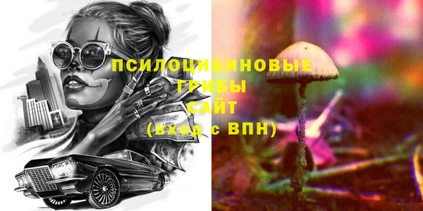 шишки Алексин