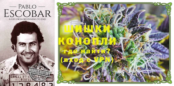 шишки Алексин