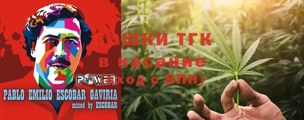 прущий лед Алзамай