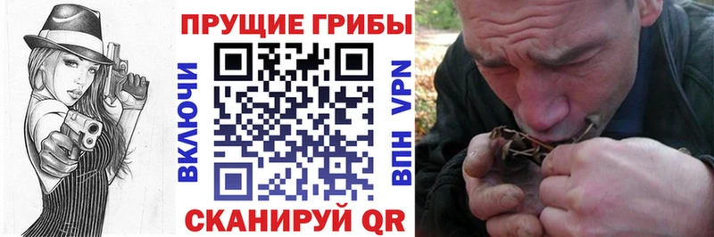 Галлюциногенные грибы Psilocybine cubensis Жуковский